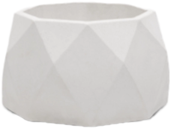 Plant Pot